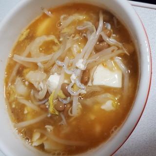 もやしと白菜豆腐の納豆スープ